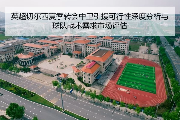 英超切尔西夏季转会中卫引援可行性深度分析与球队战术需求市场评估