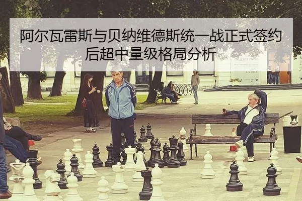 a-er-wa-lei-si-yu-bei-na-wei-de-si-tong-yi-zhan-zheng-shi-qian-yue-hou-chao-zhong-liang-ji-ge-ju-fen-xi-2-259.jpg